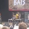 10_cancer_bats (5)