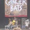 10_cancer_bats (6)