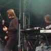 23_porcupine (12)