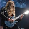 18_evergrey012