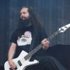 18_evergrey082