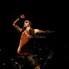 Primordial